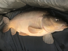 16lbs12 Caught by James Brown