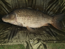 28lbs4 Caught by Mark Howes