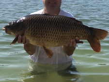 24lbs4 Caught by James Brown