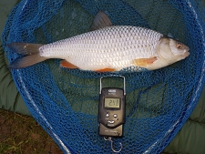 2lbs7 Caught by Mark Waring