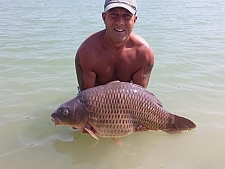31lbs6 Caught by Shaun 