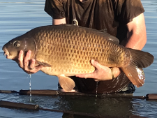 26lbs4 Caught by James Brown