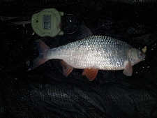 2lbs3 Caught by Pete H