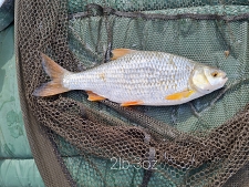 2lbs3 Caught by mark waring