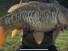 15lbs8 Caught by Anonymous 